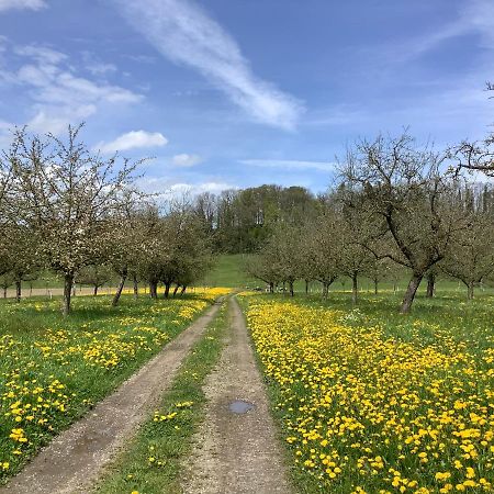 Sitter-Panorama Lägenhet Bischofszell Exteriör bild