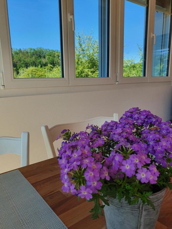 Sitter-Panorama Lägenhet Bischofszell Exteriör bild