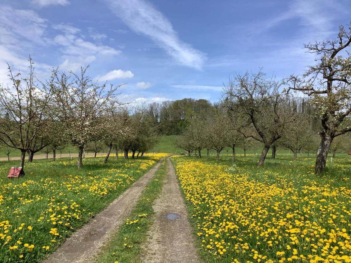 Sitter-Panorama Lägenhet Bischofszell Exteriör bild