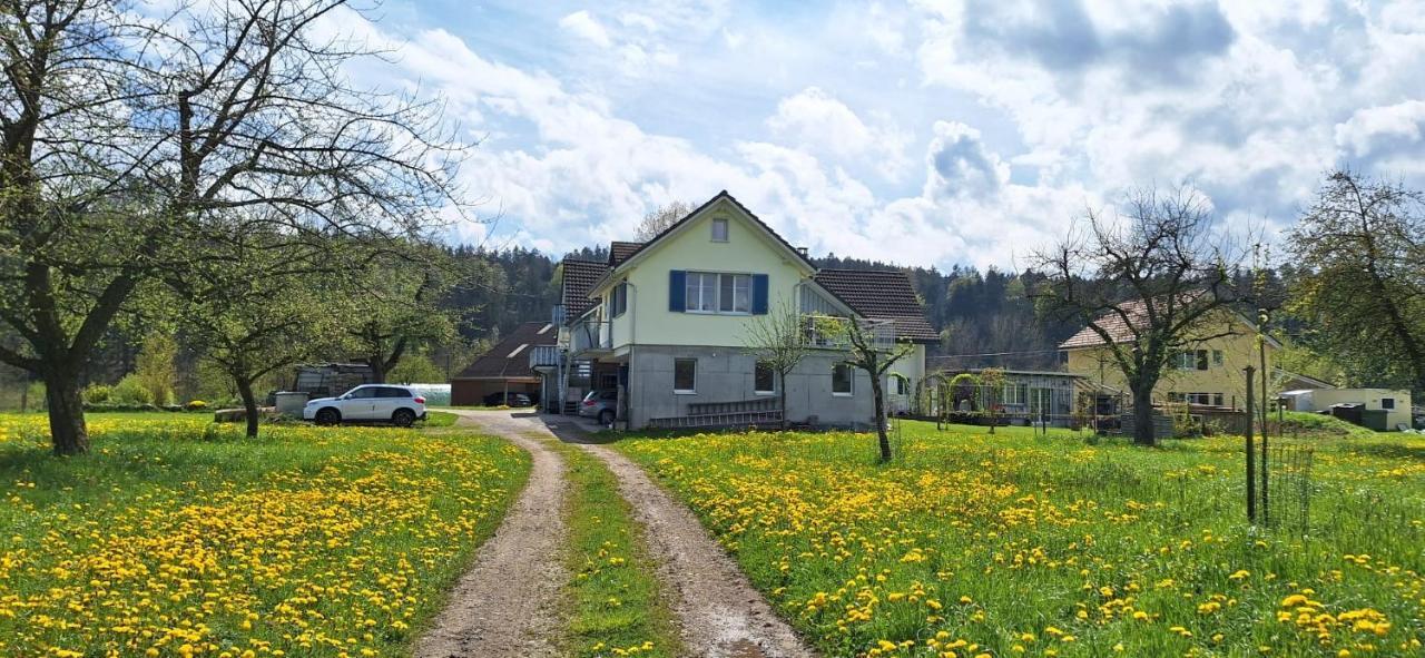 Sitter-Panorama Lägenhet Bischofszell Exteriör bild